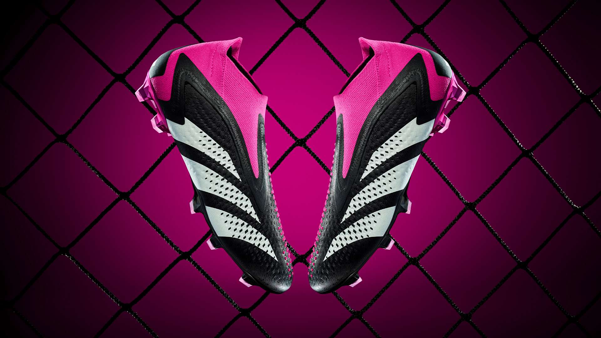 球数量上继 球数量上继