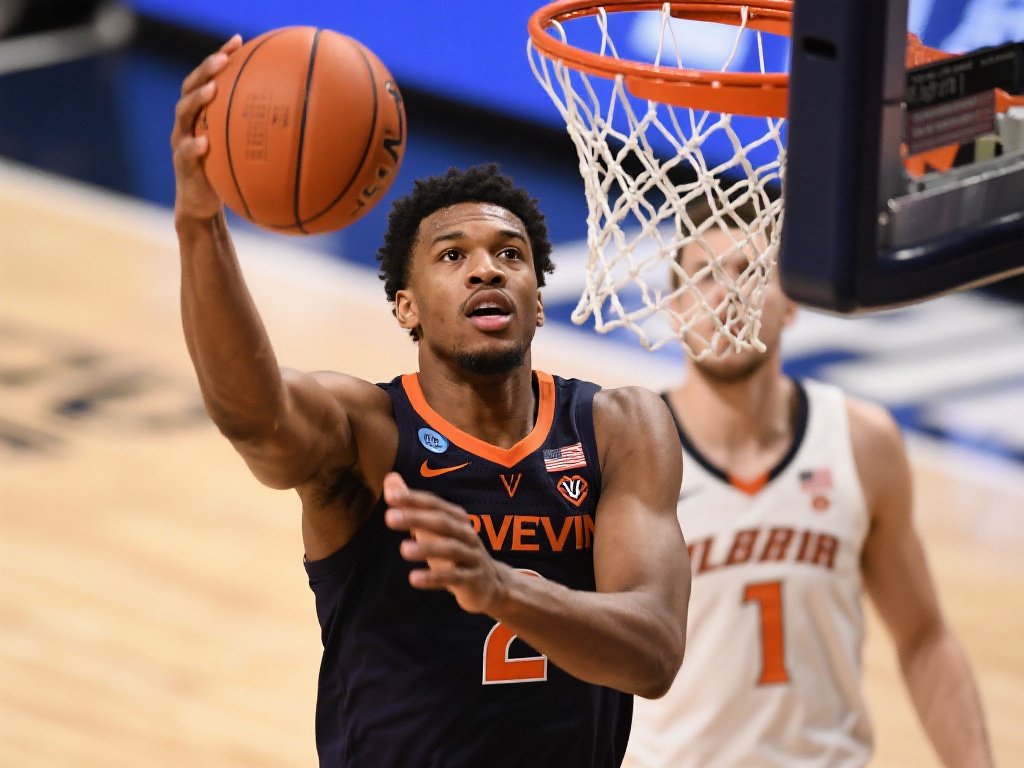 再到旅游资 再到旅游资